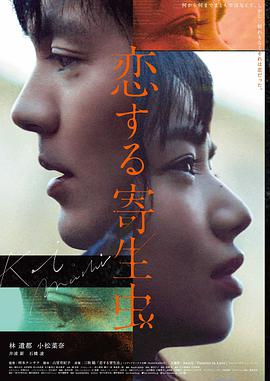 好看的爱情动漫《夏日回声》档案封面